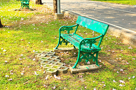公园中的法官花园长椅座位季节场景叶子木头绿色植物图片