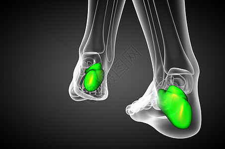 3d 进行医学实验 以解剖加州的骨骼痛风跟骨病人骨科风湿创伤痛苦医疗图片