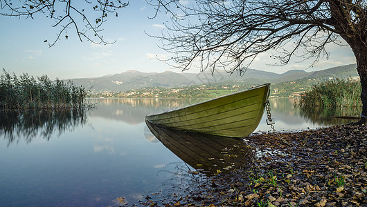绿色船等待夏季池塘运输独木舟海岸皮艇反思薄雾蓝色美丽假期图片