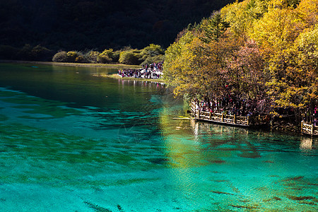 秋天湖边五花湖位于朱海古湖旅游绿色水池叶子公园游客反射吸引力旅行风景背景