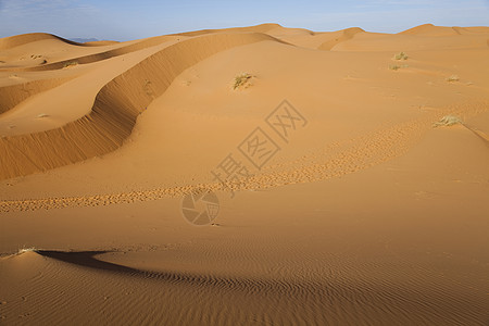 摩洛哥沙漠沙丘 Merzouga 多彩的充满活力的旅行主题沙漠口渴沙丘太阳红色闷热黄色阴影寂寞勘探图片