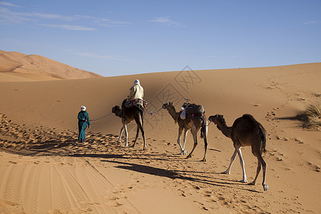 沙漠沙沙 多彩的充满活力的旅行主题干旱口渴太阳红色探险家寂寞阴影全景勘探沙漠图片