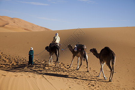 沙漠沙沙 多彩的充满活力的旅行主题全景橙子闷热黄色勘探干旱口渴探险家太阳沙丘图片