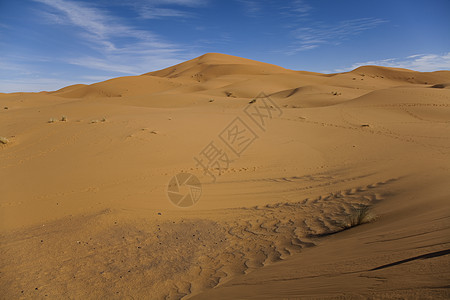 Dunes 色彩多彩的充满活力的旅行主题红色闷热沙漠干旱黄色沙丘探险家寂寞太阳橙子图片