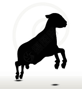 弹跳姿势的绵羊背影黑色草图跳跃冒充飞跃剪贴害群阴影插图背光图片