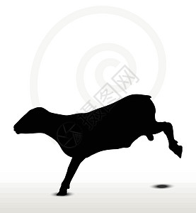 弹跳姿势的绵羊背影飞跃跳跃害群草图冒充黑色插图背光剪贴阴影图片