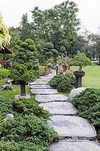 花园的景观美化 花园的路径房子木头植物小路旅行森林长椅场地公园石头图片