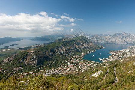 黑山科托Kotor的全景岩石海岸植物港口地标城市建筑旅行蓝色房子图片