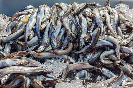 新鲜生鱼渔业食物白色黄色宏观团体餐厅海鲜文化美食图片