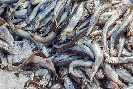 新鲜生鱼白色冶炼海洋黄色饮食绿色渔业美食产品海鲜图片