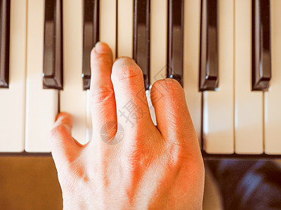 音乐键盘键器官迷笛大键钢琴电子乐器钥匙图片