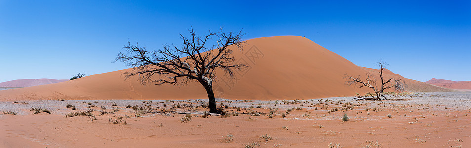 纳米比亚索苏苏夫莱区45号迪内国家天空沙漠纳米布干旱死亡橙子太阳风景沙丘图片
