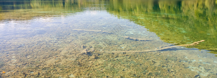 克罗地亚的切裂湖池塘国家环境公园木头旅游植物假期天堂衬套图片