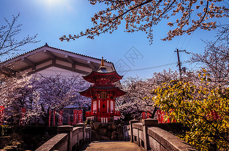 寺庙信仰樱花花园旅游图片