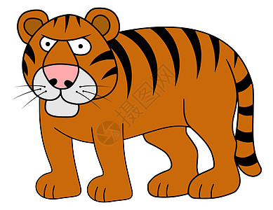 卡通老虎保护野生动物荒野动物濒危卡通片哺乳动物食肉图片