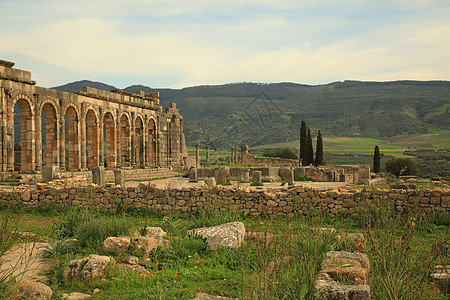 Volubilis 火山卷废墟石头建筑论坛古物历史性考古学柱子马赛克旅游图片