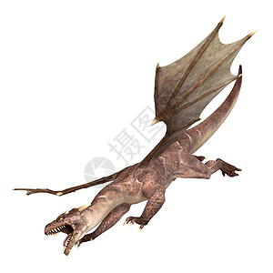 腾飞龙童话爬虫幻想动物神话怪物魔法翅膀艺术插图图片