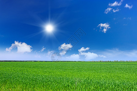 小麦田草原草地农田远景绿地爬坡农场牧场蓝色种植园图片