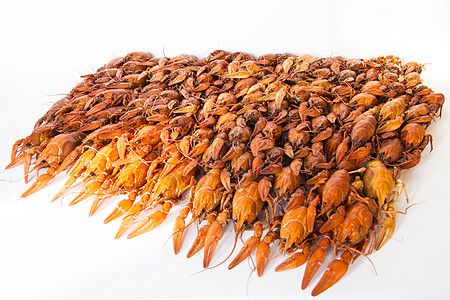 许多龙虾动物煮沸两栖红色食物癌症图片