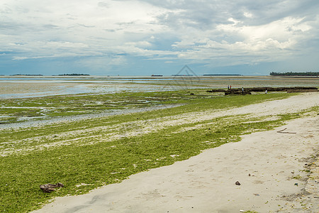 达累斯萨拉姆的海岸波浪旅行海洋场景蓝色天空支撑旅游海滩图片