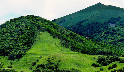 绿山环境面积植物天空蓝色植物学牧场纹理快乐场景图片