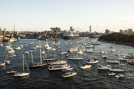 2007年2月19日 在伊丽莎白女王2号游轮访问期间 悉尼海港全景图片