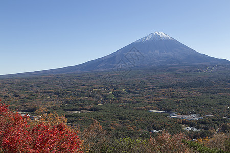 日本秋天福吉山公园旅行树叶反射宝塔天空斋子农场游客吸引力图片