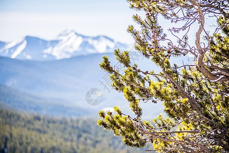 君王路口附近的彩色山脉土地弹簧风景金子反射编队远景全景叶子地形图片