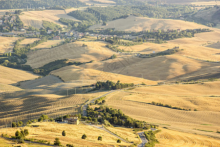 对意大利夏季托斯卡尼典型风景的看法植被场景农田全景草地农村金子森林植物爬坡图片