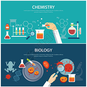 化学和生物学教育概念;以及图片