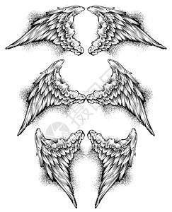 翅膀组纹章羽毛插图框架背景图片