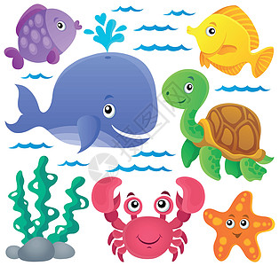海洋动物专题收集 1背景图片