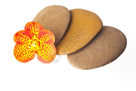 石头和兰花草本植物树叶植物按摩平衡巨石卵石花瓣香气热带图片