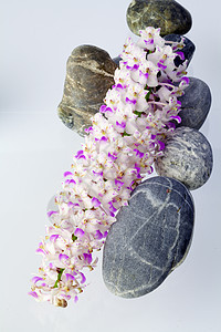 石头和兰花植物热带草本植物治疗温泉卵石花瓣岩石药品树叶图片