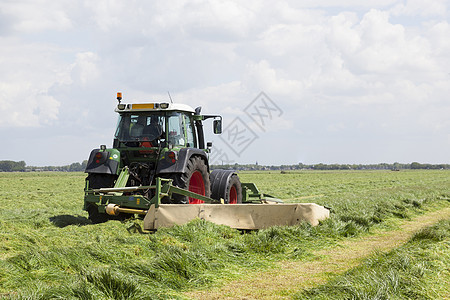 在霍伦德的绿草原上采摘拖拉机和割草机修剪草地植被刀具场地驾驶农业农民机械工作图片