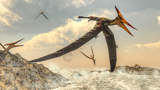 Pteranodon鸟飞行  3D绿色岩石海浪野生动物天空翼龙爬虫动物插图日落图片