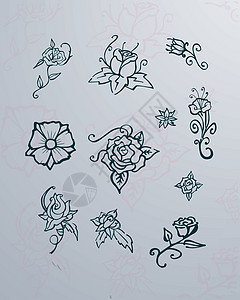 鲜花矢量说明玫瑰花朵花瓣手绘植物插图背景图片