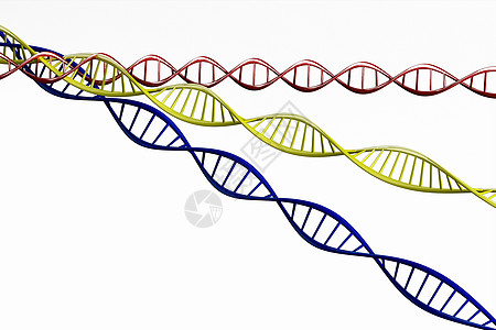 dna螺旋细胞遗传学插图高清图片