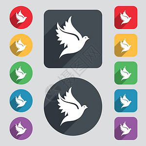 鸽子图标标志 一组 12 个彩色按钮和一个长长的阴影 平面设计 向量图片