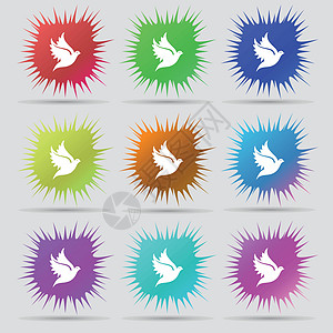 鸽形图标符号 一组由9个原始针头按钮组成 矢量图片