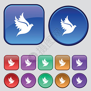 Dove 图标符号 您设计时要使用一套12个长效按钮 矢量图片