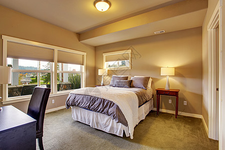 有地毯和窗户的漂亮卧室家具大床项目椅子设计师桌子地面摄影房子建筑学图片