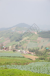 山上农地天空爬坡场地薄雾叶子农村旅行绿色农业风景图片