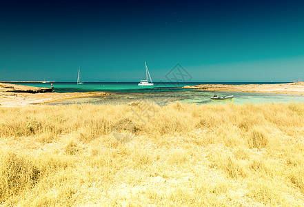 西班牙巴利阿里群岛Formentera的Ses Illetes海滩图片