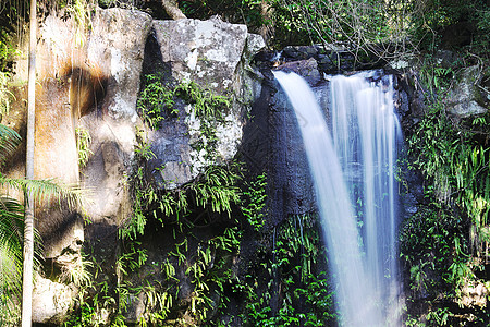 坦波林山的柯蒂斯瀑布瀑布叶子遗产自然环境绿色国家荒野公园溪流生态图片