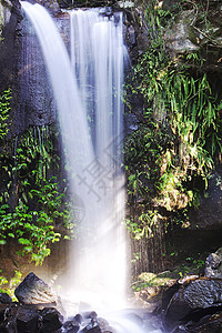 坦波林山的柯蒂斯瀑布溪流叶子腹地风景瀑布国家荒野自然环境遗产绿色图片
