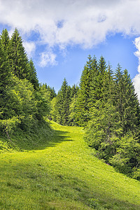 全高地景观爬坡首脑风景闲暇森林天空假期山脉远足岩石图片