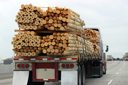 运输木材的卡车环保农业松树生态森林补给品木工人记录燃料林业图片