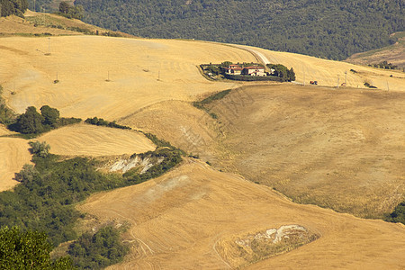 对意大利夏季托斯卡尼典型风景的看法金子植物森林爬坡场地植被收成草地农村场景图片