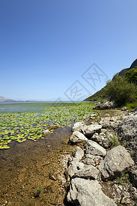 湖边地标边缘反射晴天土地沼泽百合城市天气海岸线图片